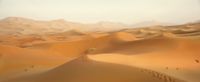 Sahara (Quelle: Bild von Greg Montani auf Pixabay)
